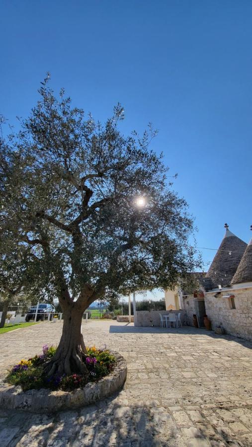 Casa Relax Isabelle Bed and Breakfast Alberobello Exteriör bild