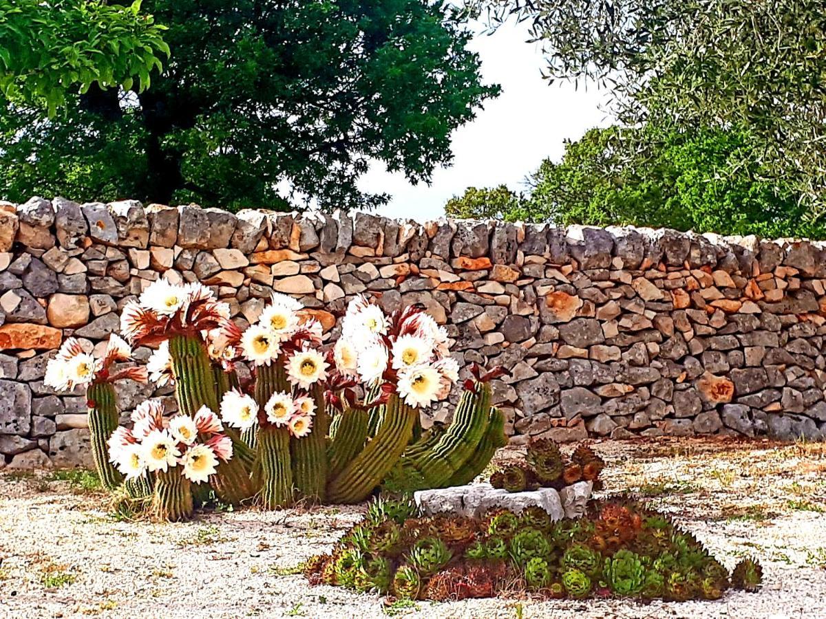 Casa Relax Isabelle Bed and Breakfast Alberobello Exteriör bild